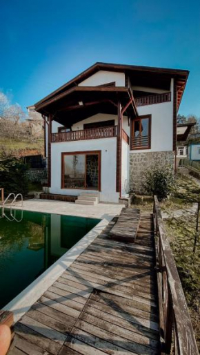 Sapanca villa alis